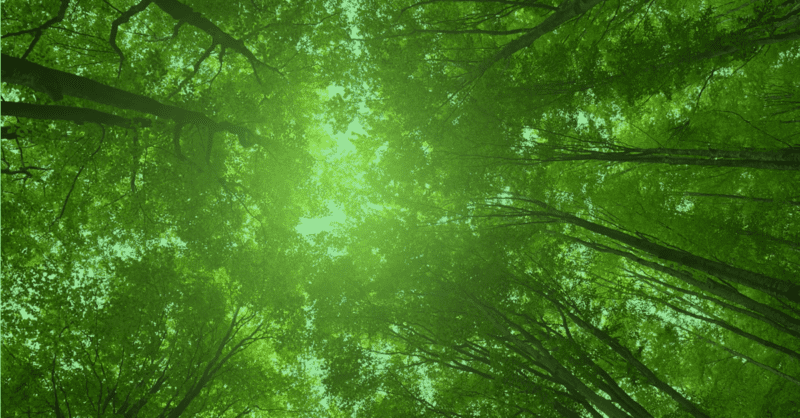 2020: A Year In Review